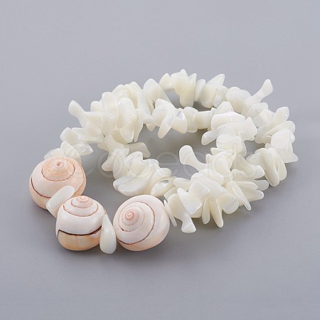 Natural Spiral Shell Beads Stretch Bracelets BJEW-JB03997-1