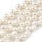 Natural Cultured Freshwater Pearl Beads Strands, Top Drilled, Half Round, Old Lace, 5~6mm, Hole: 0.5mm, about 47pcs/strand, 8.66 inch(22cm)