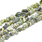 Natural Serpentine Beads Strands, Chip, 5~11x3~9x1~9mm, Hole: 1mm, about 200~300pcs/strand, 33.8 inch