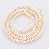 Natural Cultured Freshwater Pearl Beads Strands PEAR-R065-26-2