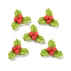 Resin Cabochons CRES-D004-05-1