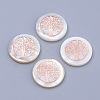 Freshwater Shell Cabochons X-BSHE-S622-01-1