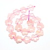 Natural Rose Quartz Flower Beads Strands G-L241A-05-2