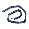 Natural Lapis Lazuli Beads Strands G-Q1008-B07-2