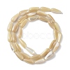 Natural Trochus Shell Beads PEAR-B002-01A-B-2