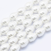 Electroplate Shell Pearl Beads Strands BSHE-G009-A-02-1