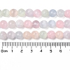 Macaron Color Natural Selenite Beads Strands G-Q162-A01-02B-02-5