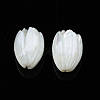 Natural Trochid Shell/Trochus Shell Beads SSHEL-T014-33-2