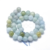 Natural Aquamarine Beads Strands G-D0013-67C-2