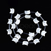 Natural White Shell Beads Strands SSHEL-S278-124A-2