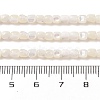 Natural Trochus Shell Beads Strands SHEL-P017-04-4