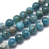 Natural Apatite Beads Strands G-I254-08G-1