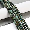 Natural African Turquoise(Jasper) Beads Strands G-A220-B03-01-2