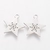 Non-Tarnish 201 Stainless Steel Charms STAS-Q201-T483-2