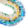 Pandahall 12 Strands 6 Colors Electroplate Glass Beads Strands EGLA-TA0001-31-8