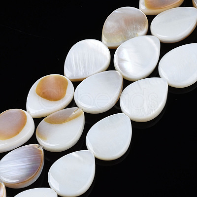 Natural Freshwater Shell Beads Strands SHEL-S278-068-1