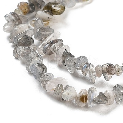 Natural Labradorite Beads Strands G-G0003-B43-1