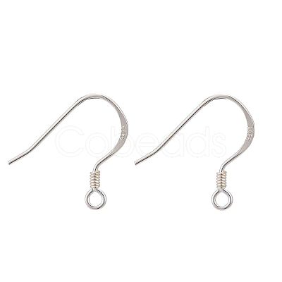 925 Sterling Silver Earring Hooks STER-K167-049D-S-1