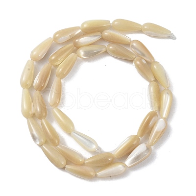 Natural Trochus Shell Beads PEAR-B002-01A-B-1