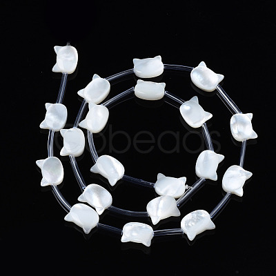 Natural White Shell Beads Strands SSHEL-S278-124A-1