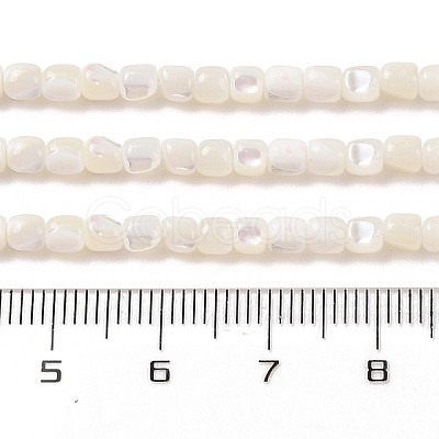 Natural Trochus Shell Beads Strands SHEL-P017-04-1