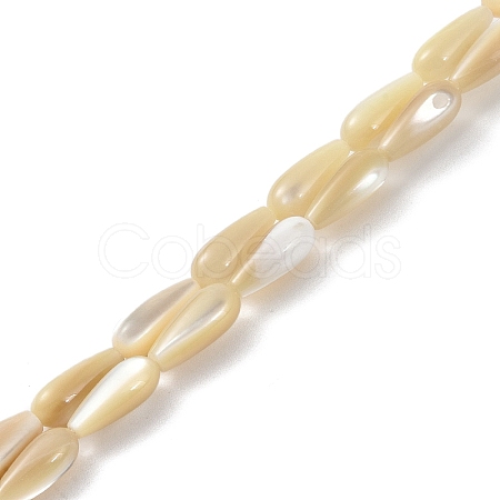 Natural Trochus Shell Beads PEAR-B002-01A-B-1