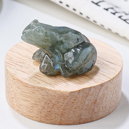 Natural Labradorite Carved Healing Frog Figurines PW-WG28161-09-1