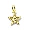 Brass Charms, Star, Real 18K Gold Plated, 11.5x9.5x1.5mm, Hole: 3mm